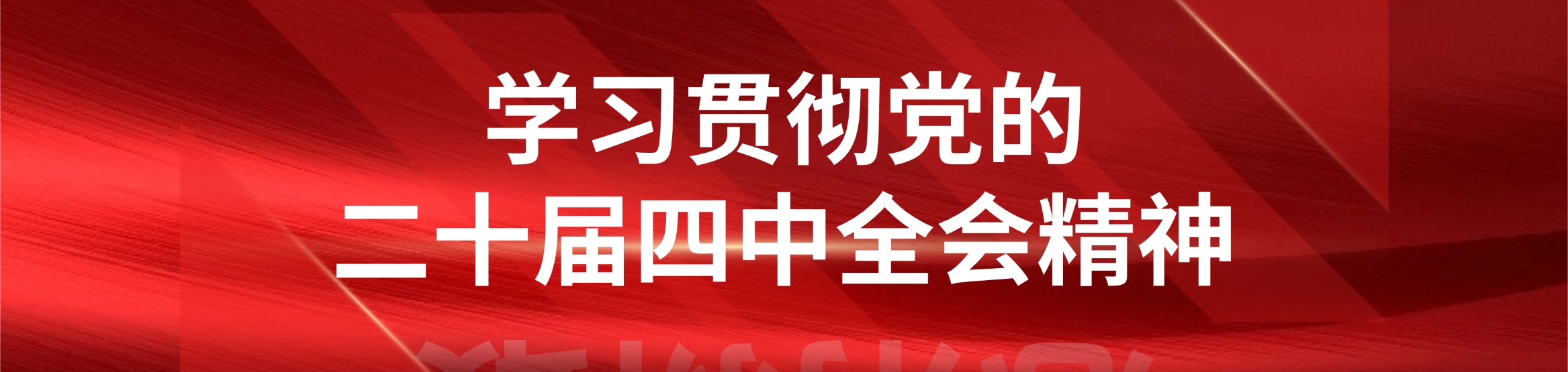 学习贯彻党的二十届四中全会精神
